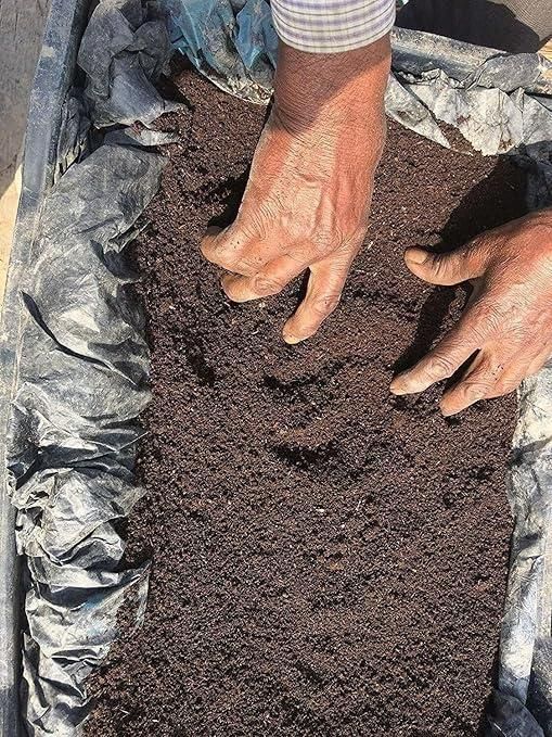 GreenBloom Vermicompost