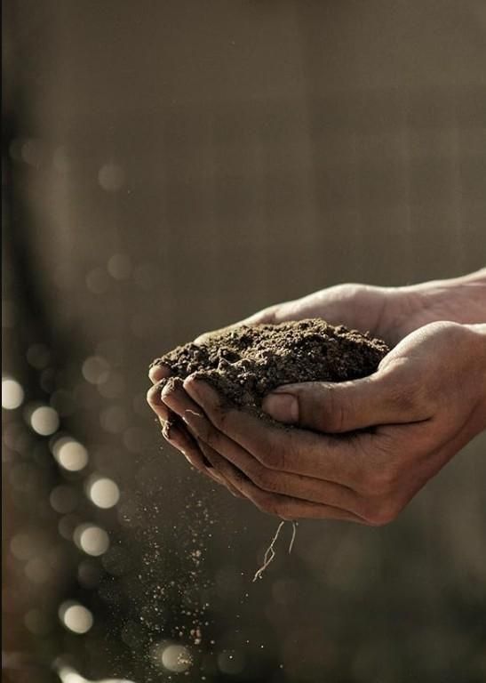 GreenBloom Vermicompost