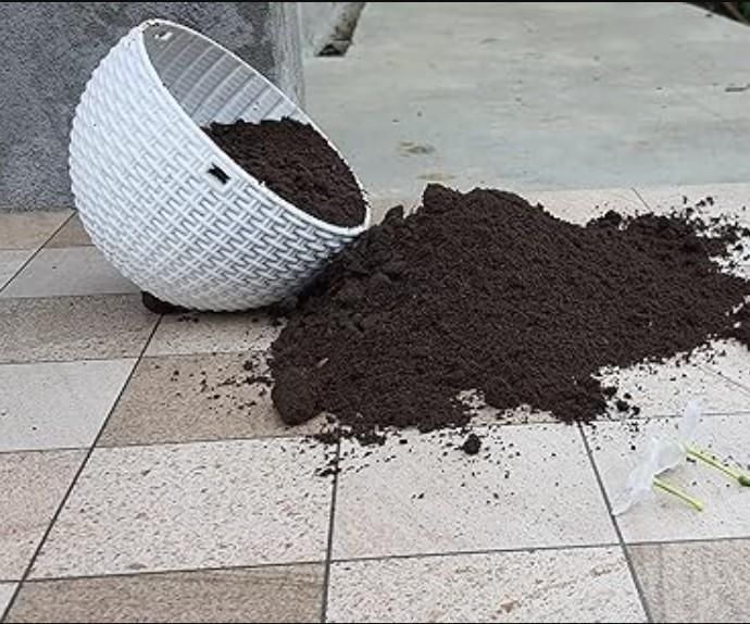 GreenBloom Vermicompost